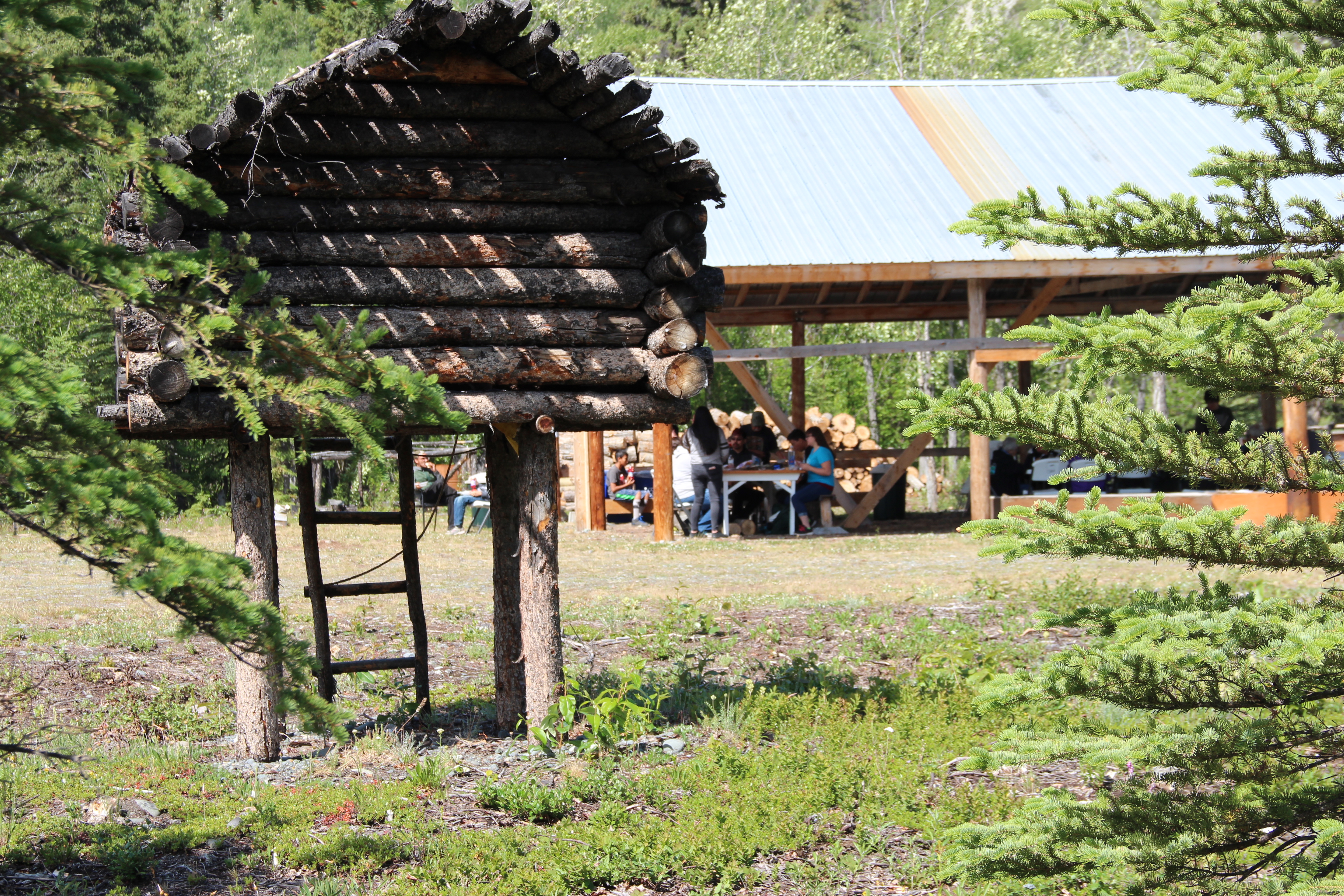 Tribal Community Services